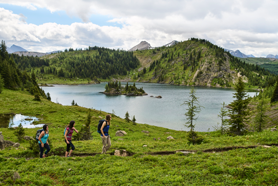 A group of people walking on a grassy hill by a lake

AI-generated content may be incorrect.